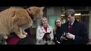 流浪猫鲍勃 2部合集 1080P 英语中字
