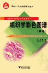 组织学彩色图谱 双语_13002219_廖敏主编_杭州市：浙江大学出版社_2012.01